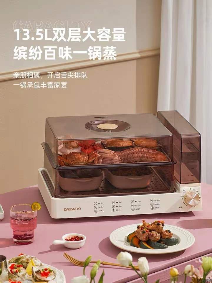 韩国大宇电蒸锅DYZL-120大容量13