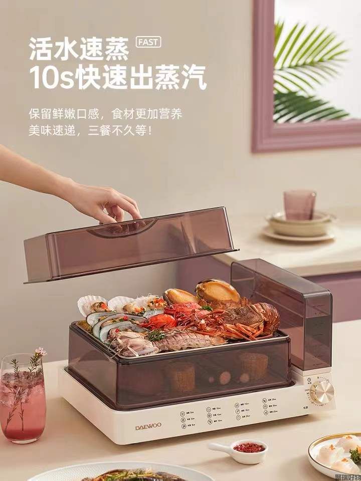 韩国大宇电蒸锅DYZL-120大容量13.5L