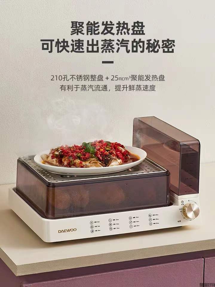 韩国大宇电蒸锅DYZL-120大容量13.5L