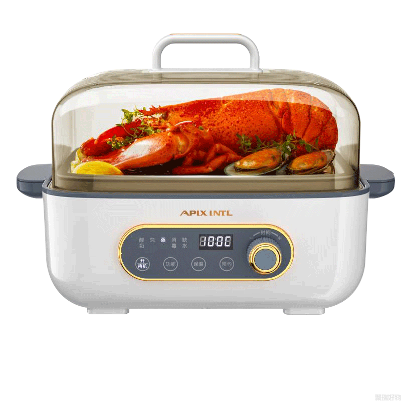 APIXINTL家用电蒸锅APX-ZG0