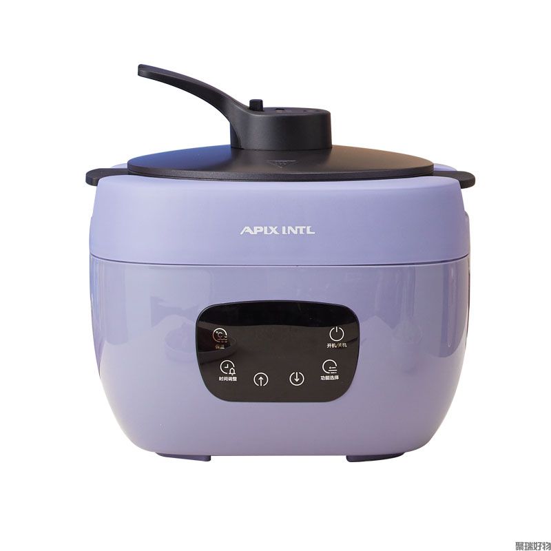 APIXINTL电饭煲AP-X028